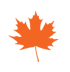 maple leaf