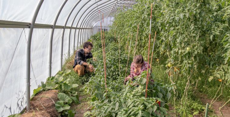 Trencher's Farmhouse Greenhouse. Photo by Erica Houskeeper.