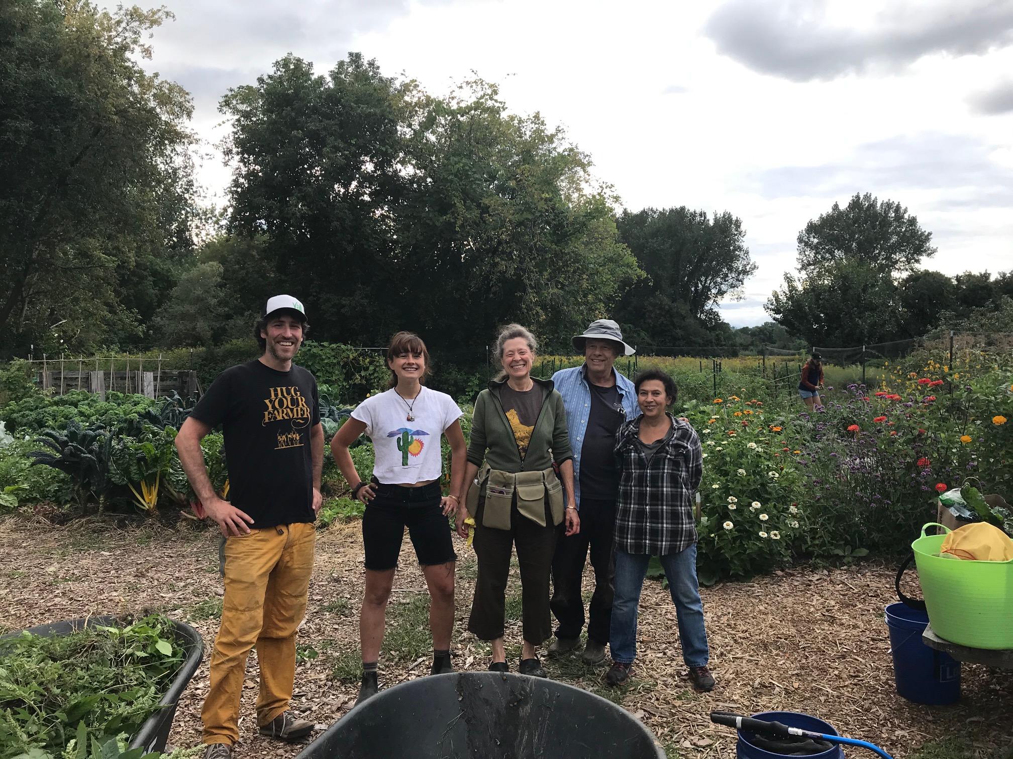 Five people in a community garden