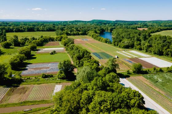 Aerial view of Digger's Mirth Farm at Burlington's Intervale