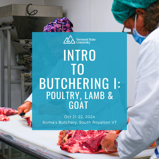 image of butchery training with text over it listing "Intro to Butchery I: Poultry, Lamb and Goat", Oct 21-22, 2024, at Roma's Butchery in South Royalton, VT.