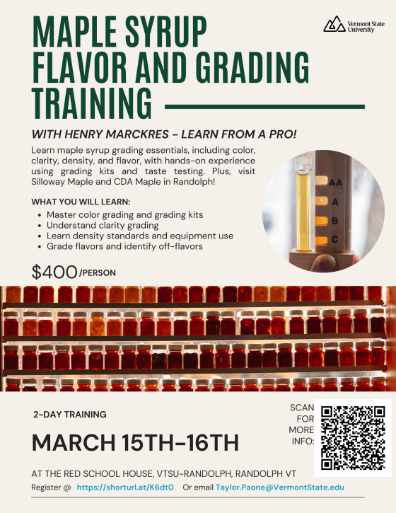 Maple Flavor and Grading