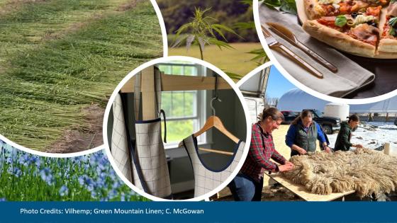 photo collage of different fibers, including hemp, linen, finished dress, napkins and utensils, and people combing wool